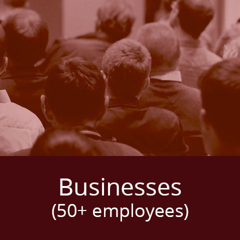 Businesses (50+ employees)