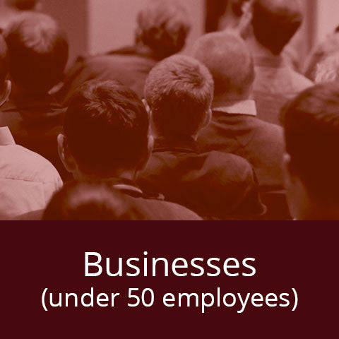 Businesses (under 50 employees)